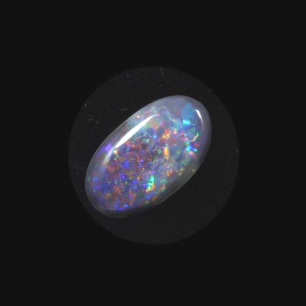 0032-black-opal-4