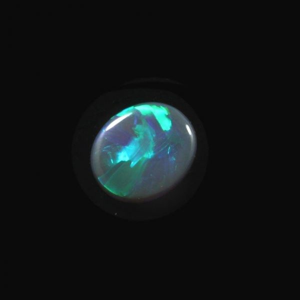 0056-black-opal-5