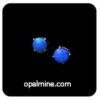 Opal Earrings 6047